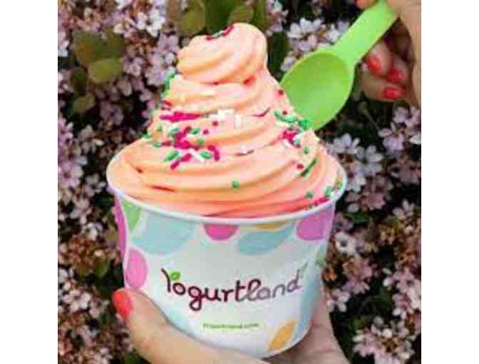 Principal Treat: Yogurtland after lunch - Photo 1