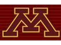 Gopher Basketball Tickets