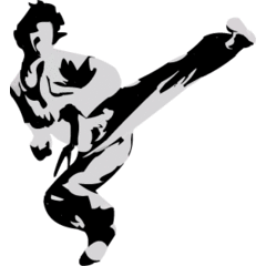 Hwa Rang Do Minneapolis Academy