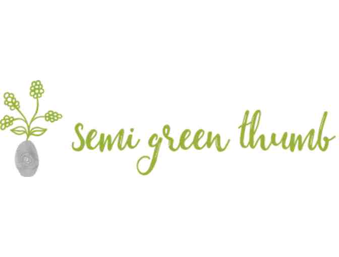 Seasonal Container Garden Planting