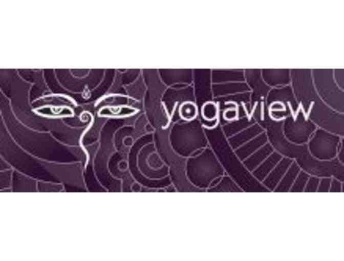 One Month of Unlimited Yoga at Yogaview
