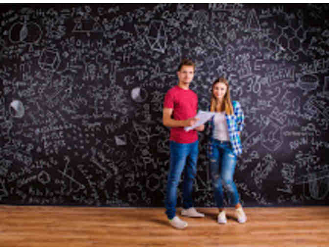 One Hour Online Tutoring Session for any Math or Science Class