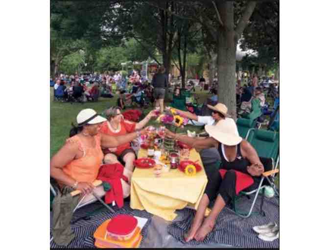 Four Lawn Passes for Any Classical Performance at Ravinia 2019