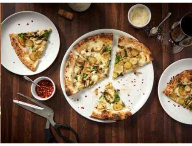 Four Course Chef's Tasting with Wine Pairings for 2 at Coda di Volpe