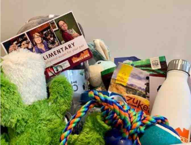 Physical Exam for Your Pet plus Doggie Gift Bag