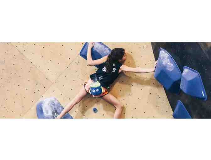 'Learn the Ropes' at Brooklyn Boulders