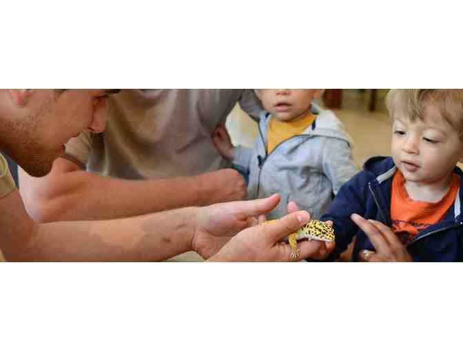 Brookfield Zoo: Six General Admissions Tickets Plus All Attractions and Parking