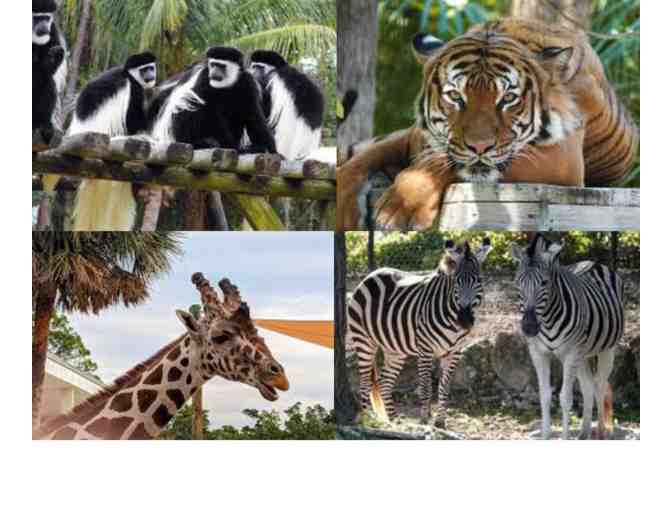 Family Fun Day in Naples- C'Mon and the Zoo!