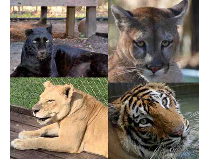 2 night St. Augustine Getaway- Stay, Dine and Play!