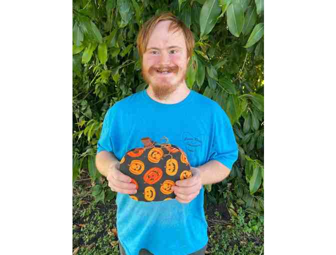 Harvest Patch Pumpkins - Photo 2