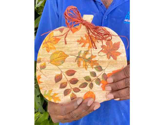 Harvest Patch Pumpkins - Photo 3
