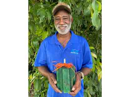 Rustic Ribbon Pumpkins