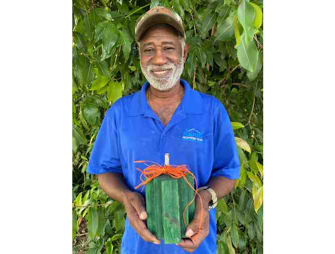 Rustic Ribbon Pumpkins - Photo 1