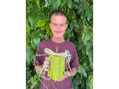 Rustic Ribbon Pumpkins