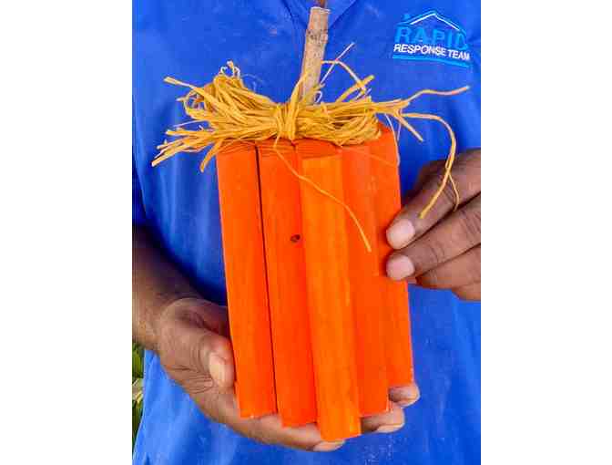 Rustic Ribbon Pumpkins - Photo 2