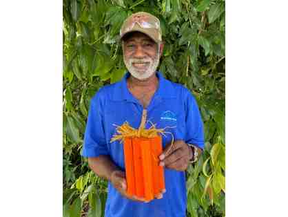 Rustic Ribbon Pumpkins
