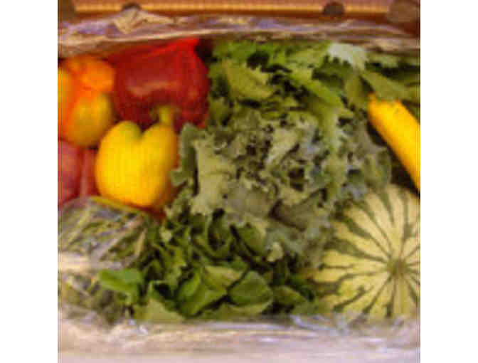 UNDERWOOD FAMILY FARMS - SEASON PASS FOR 5