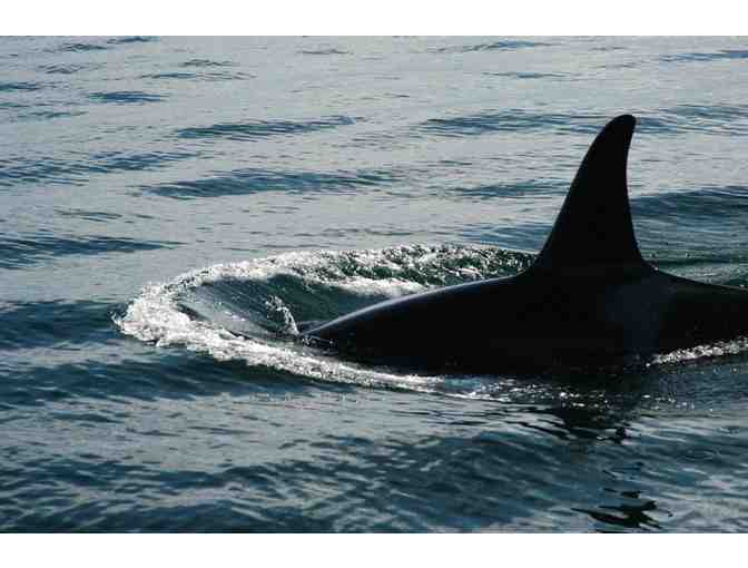 Lorne Riddell: Three-day Sail, San Juan Islands, Washington State