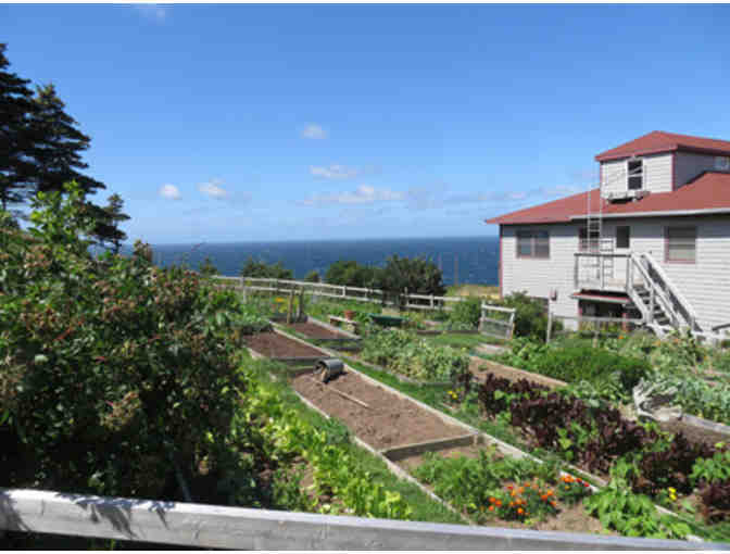Gampo Abbey, Cape Breton, Nova Scotia: One-Week Solitary Retreat