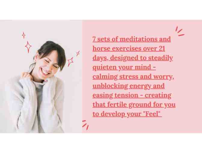 Jenny Pearce: 'Journey to Feel' Online Horsemanship Meditation Program