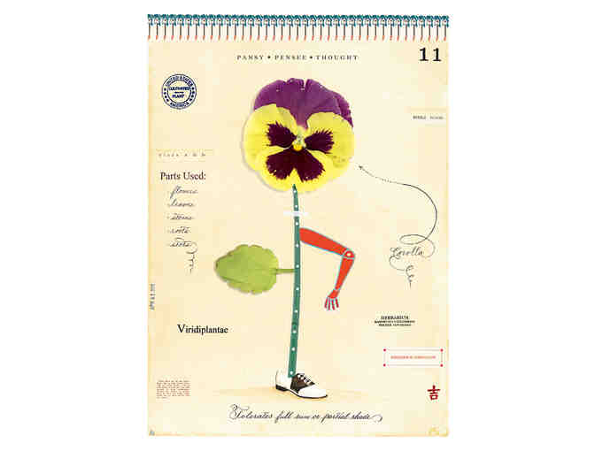 MF Cardamone: Box of MF Cardamone Notecards