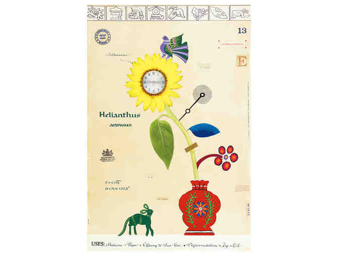 MF Cardamone: Box of MF Cardamone Notecards