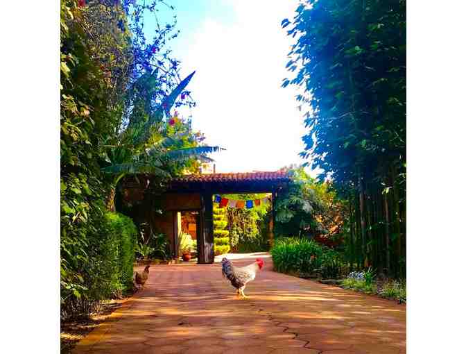 Casa Werma in Patzcuaro, Mexico: Three-Night Stay