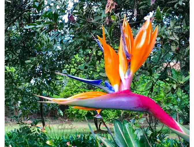 Casa Werma in Patzcuaro, Mexico: Three-Night Stay