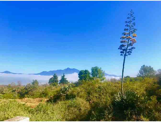 Casa Werma in Patzcuaro, Mexico: Three-Night Stay