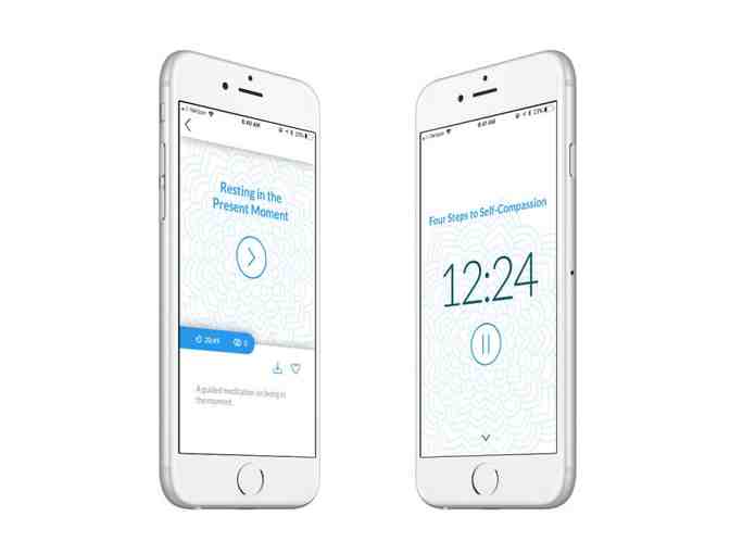 Wildmind: One-Year Online Subscription for Bodhi Mind