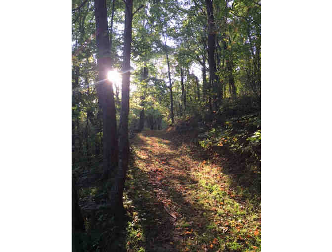 Southern Dharma Retreat Center, North Carolina: $200 Credit Toward Teacher-Led Program