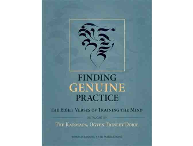 KTD Publications: 17 Karmapa, Ogyen Trinley Dorje, Two-Book Set