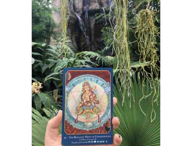 Laura Santi Sacred Art: 'Buddha Wisdom: Shakti Power' Deck and Guidebook