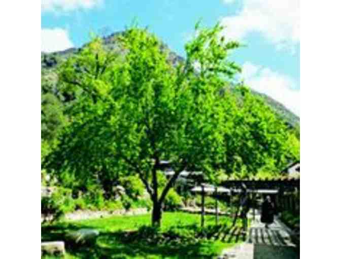 San Francisco Zen Center, Mountain Retreat: Two-Night Stay for Two at Tassajara