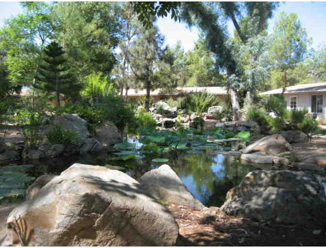 Deer Park Monastery, California: Weekend Stay at Solidity Hamlet for One Person
