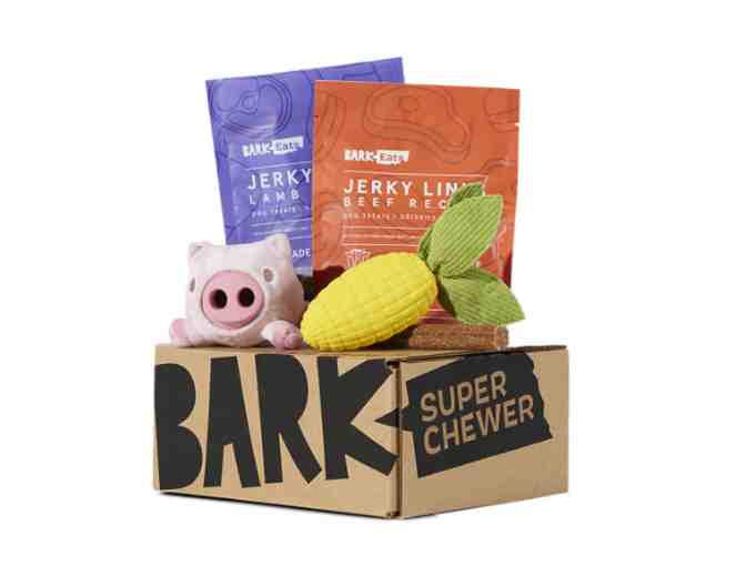 BarkBox Package - Photo 2