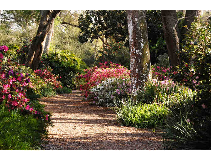 Bok Tower Gardens, Lake Wales, FL - Photo 3