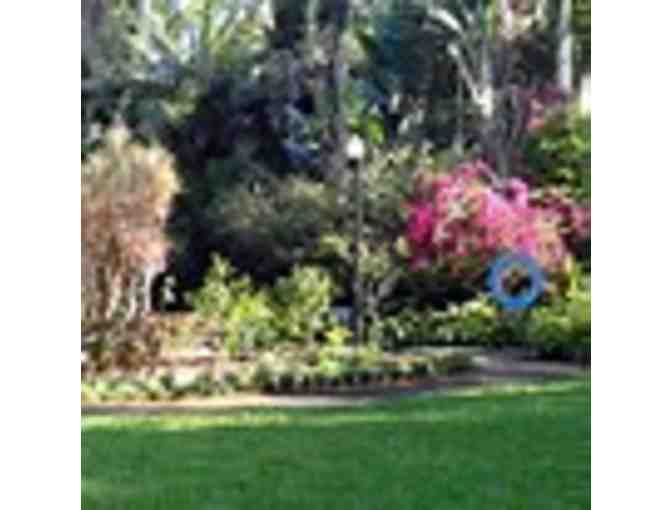 Sunken Gardens, St. Petersburg, FL - Photo 3