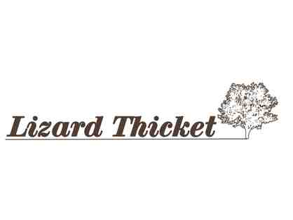 Candle and Jewelry from the Lizard Thicket Boutique, Peachtree City.