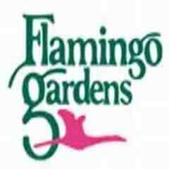 Flamingo Gardens