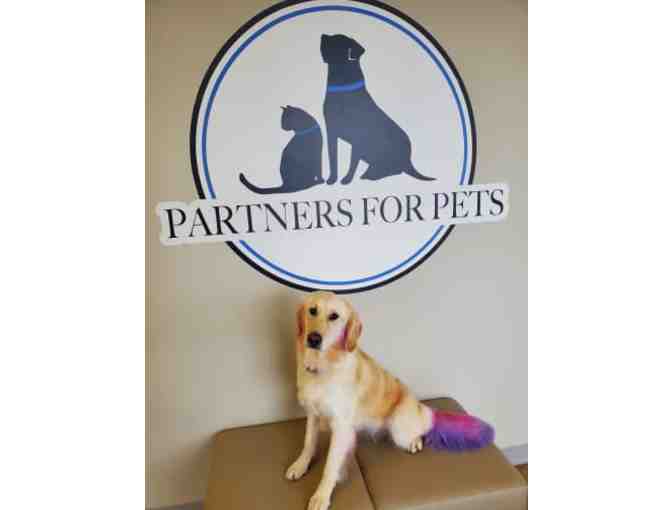 Partners for Pets - 3 Night Boarding
