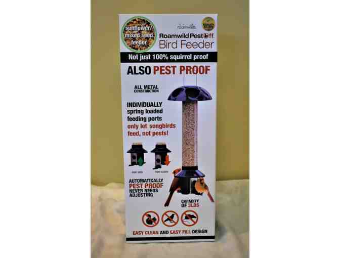 Bird House and Bird Feeder