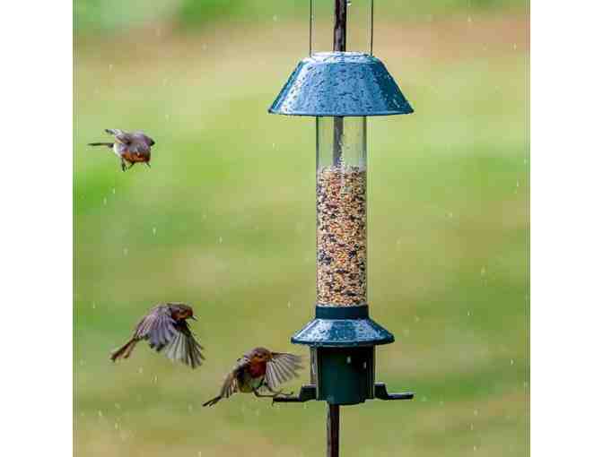 Bird House and Bird Feeder