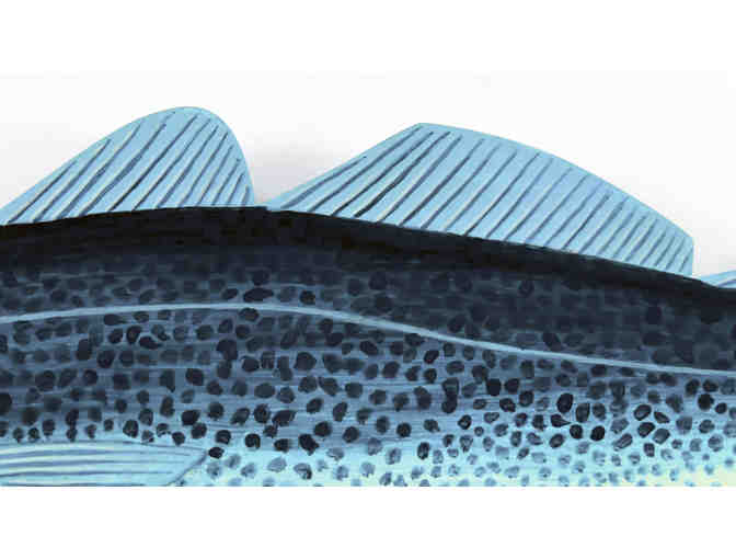 Teal Cod By Dave barber