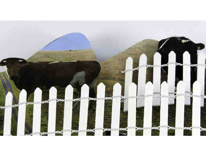 The Cow-ardly Cod By Leah Bordieri