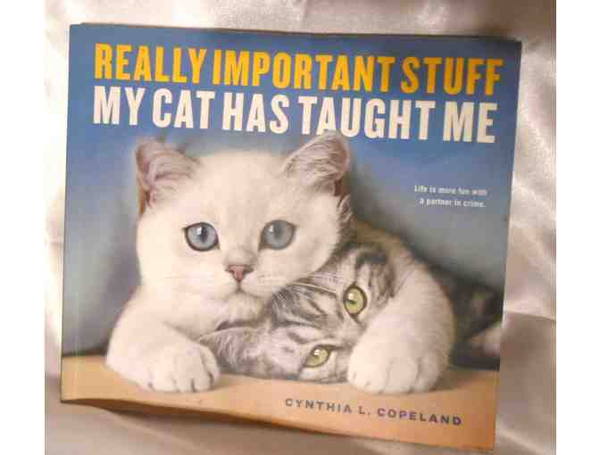 Really Important Stuff My Cat Taught Me - Photo 1