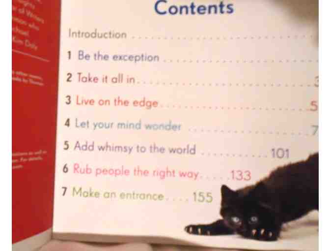 Really Important Stuff My Cat Taught Me - Photo 2