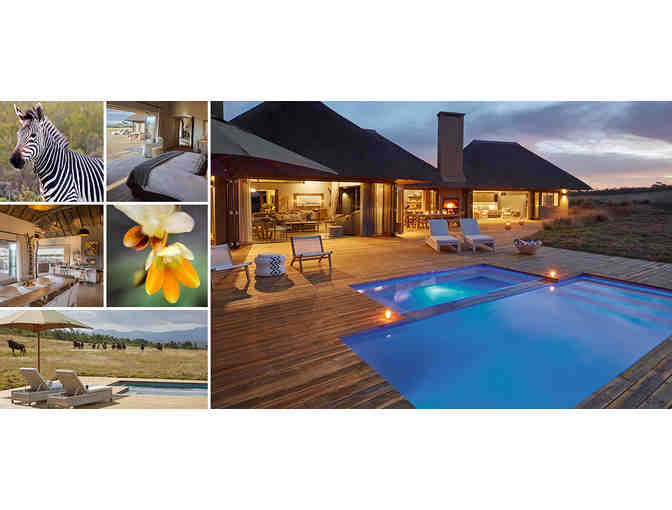 South African Safari