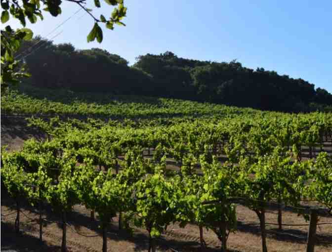 Intimate Winery Tour and Tasting in a Barn with Portola Valley's Neely Wine