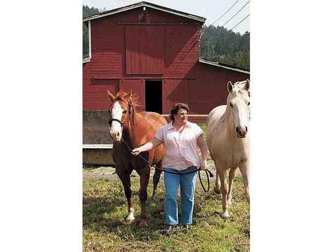 Rancher for a Day in Pescadero AND English Riding Lesson in Portola Valley